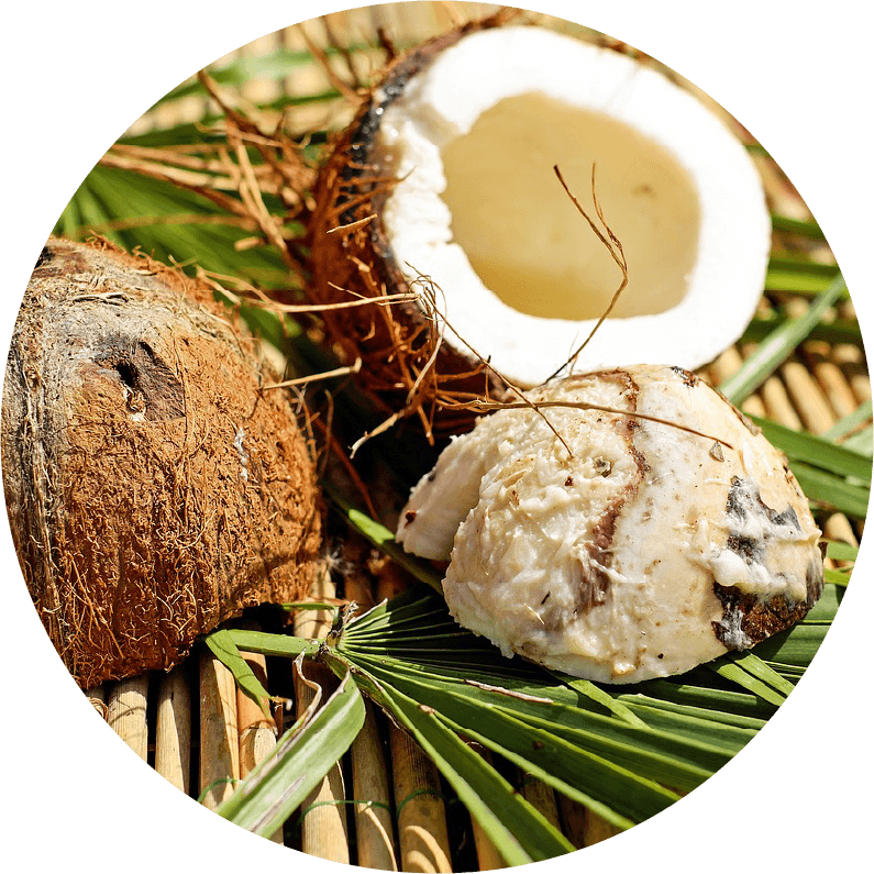 加水分解ケラチン（カシミヤヤギ）