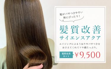 ツヤ感が足りない秋の乾燥髪に♪尼崎店の髪質改善メニューでパサつき対策！