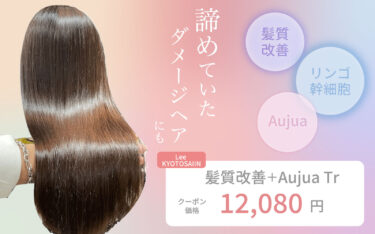 【京都西院店】ダメージヘアで諦めるのはまだ早い！最新のリンゴ幹細胞Trで極上美髪へ♡