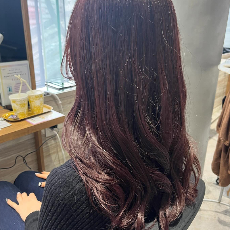 透明感暗髪ヘアカラー レッド