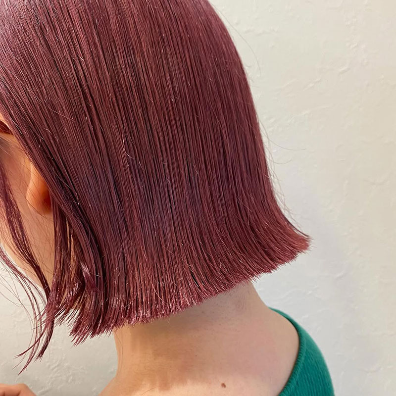 ピンクラベンダー